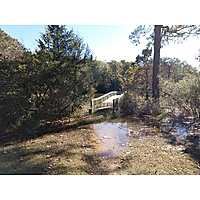 Day after the king tide Williamsburg in James City County image